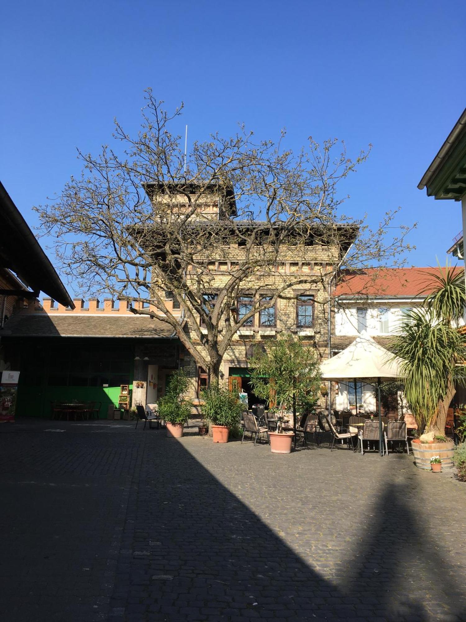 Gaestehaus Guntersblum Zewnętrze zdjęcie