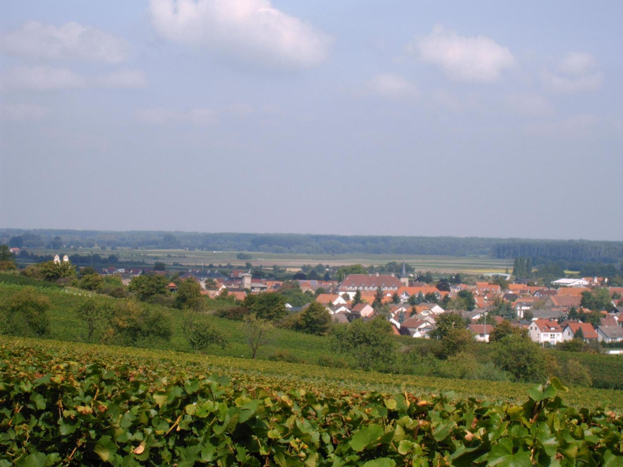 Gaestehaus Guntersblum Zewnętrze zdjęcie