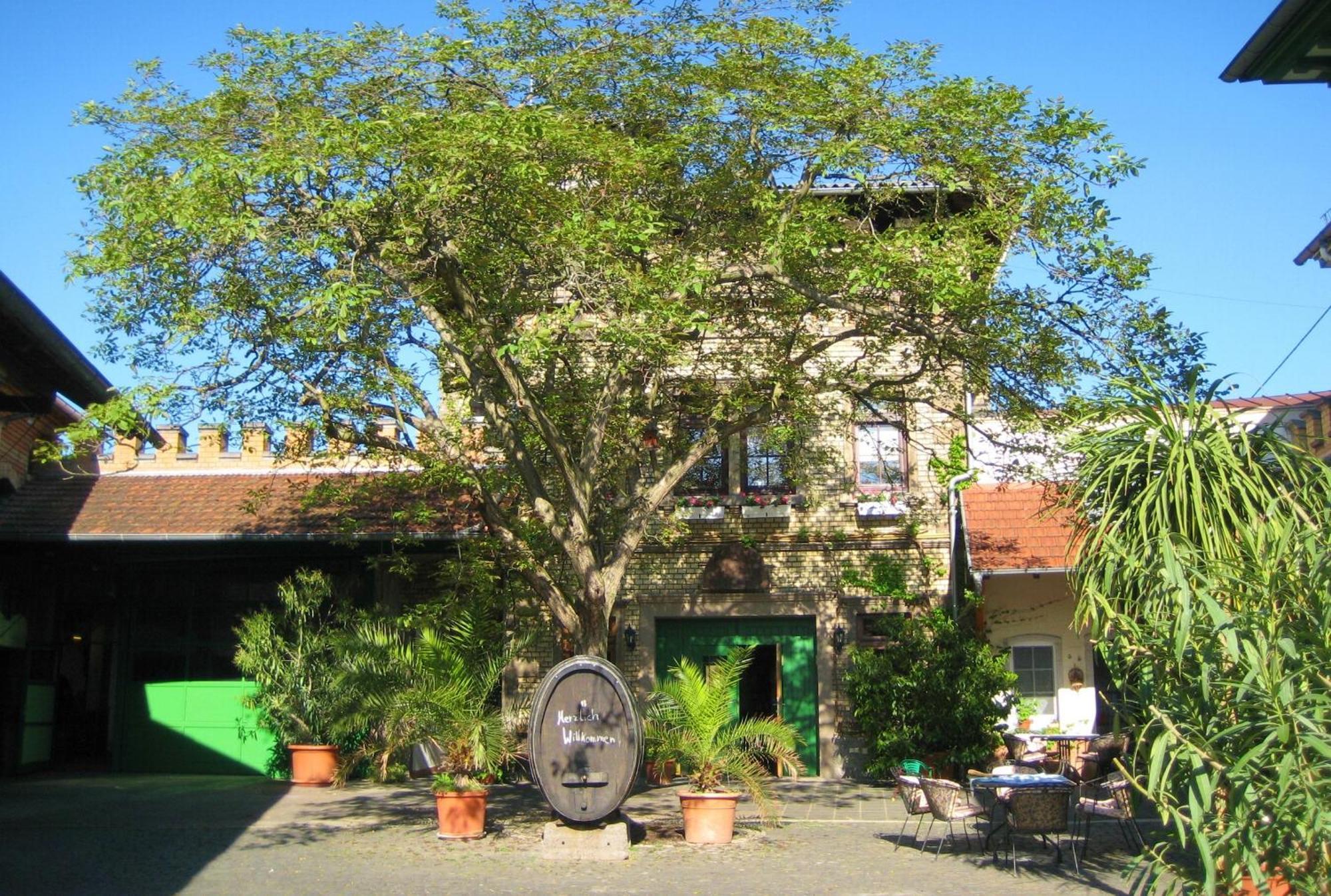 Gaestehaus Guntersblum Zewnętrze zdjęcie